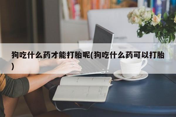 堕胎药如何购买狗吃什么药才能打胎呢(狗吃什么药可以打胎)